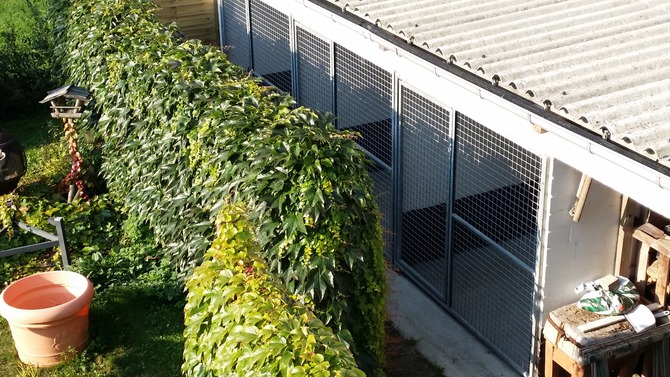 Ferienwohnung in R&uuml;ting - Urlaub mit Hund bei Anders - 3 Hundezwinger a 11qm Hundeh&uuml;tte innen,vorne offen