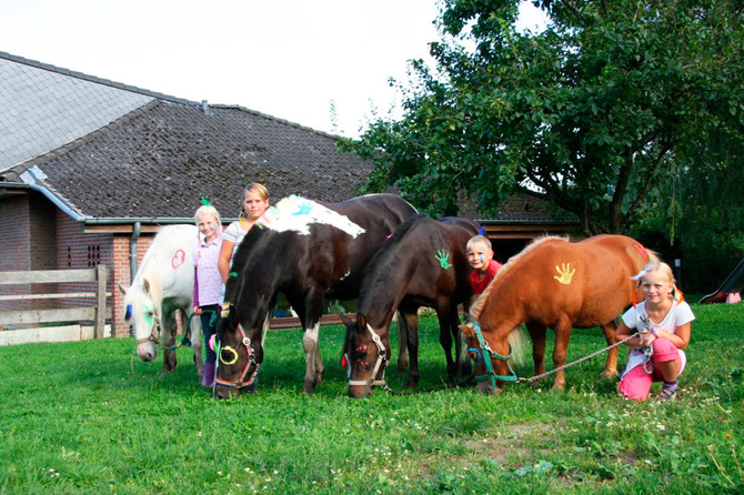 Ferienwohnung in Kabelhorst - Ferienhof-Lunau - Bild 8