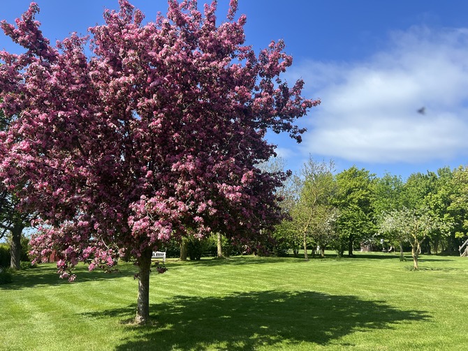 Ferienwohnung in Fehmarn OT Westermarkelsdorf - Pension Seestern - Bild 3