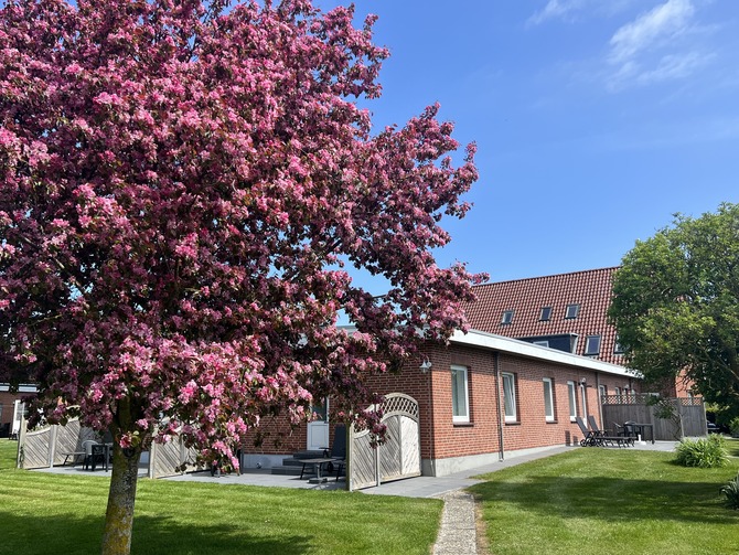 Ferienwohnung in Fehmarn OT Westermarkelsdorf - Pension Seestern - Bild 2