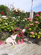 Ferienwohnung in Lütjenbrode - Residence Strandläufer - Bild 18