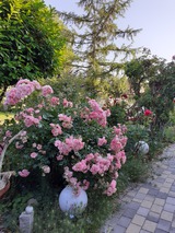 Ferienwohnung in Lütjenbrode - Residence Strandläufer - Bild 20