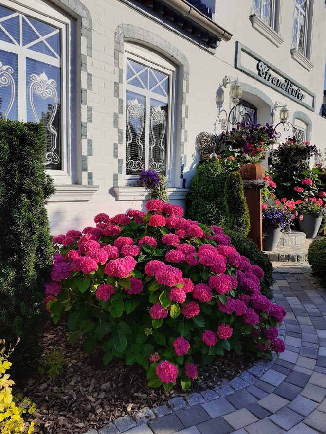 Ferienwohnung in Lütjenbrode - Residence Strandläufer - Bild 21