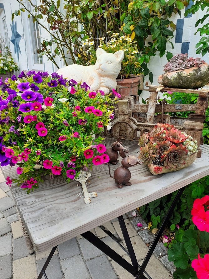 Ferienwohnung in Lütjenbrode - Residence Strandläufer - Bild 23