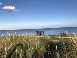 Bauernferienhof Kluvetasch Strandmuschel