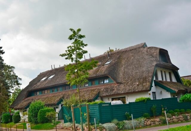 Ferienhaus in Gro&szlig; Zicker - Strandhafer - Bild 13