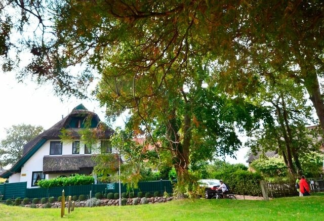 Ferienhaus in Gro&szlig; Zicker - Strandhafer - Bild 14