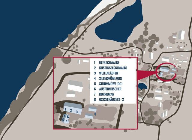 Ferienwohnung in Fehmarn OT Westermarkelsdorf - Uferschwalbe - Bild 23