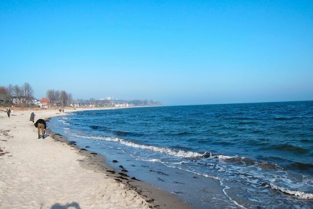 Ferienwohnung in Haffkrug - Kormoran - Bild 21