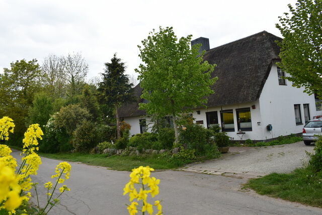 Ferienwohnung in D&auml;nischenhagen - FeWo Vobbe - Bild 2