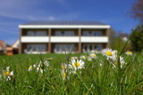 Ferienwohnung in Fehmarn OT Meeschendorf - Kleingarn - "Meeresblick" Nr. 2 - Bild 1