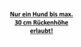 Ferienwohnung in Fehmarn OT Strukkamp - Die Mupfel - Bild 3