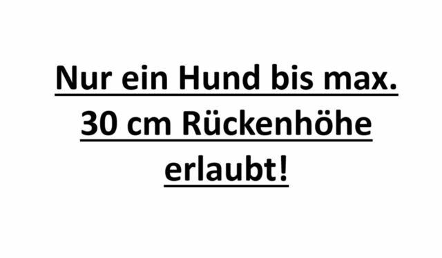 Ferienwohnung in Fehmarn OT Strukkamp - Die Mupfel - Bild 3
