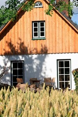 Ferienhaus in Fehmarn OT Todendorf - Großer Feldblick - Bild 3