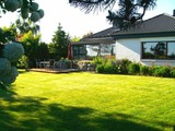 Ferienhaus in Fehmarn OT Vadersdorf - KoppelBlick - Bild 1
