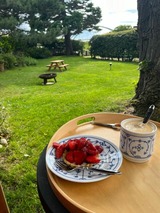 Ferienhaus in Fehmarn OT Fehmarnsund - 'Lotsenhaus' am Fehmarnsund - mit Garten - Bild 7