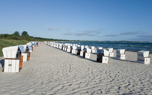 Ferienwohnung in Boltenhagen - Zur alten Schmiede I Mitte - Bild 13
