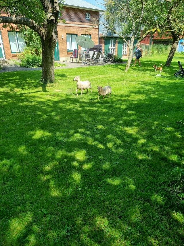 Ferienhaus in Fehmarn OT Bisdorf - Ferienhof Bisdorf "Lunauhaus" Reihenhaus - Bild 3