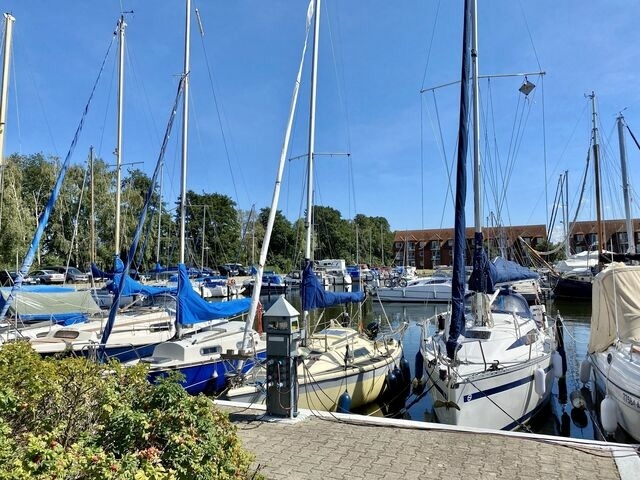 Ferienwohnung in Ueckermünde - Lagunenstadt am Haff Fewo 165 - Koje - Bild 10