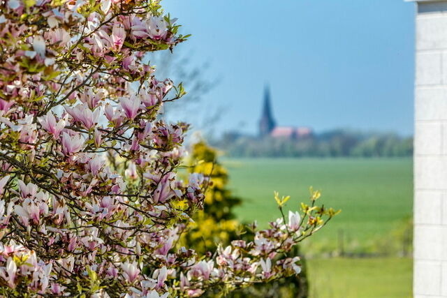 Ferienwohnung in Fehmarn OT Lemkendorf - Ferienhof Becker - Fehmarnliebe - Bild 9