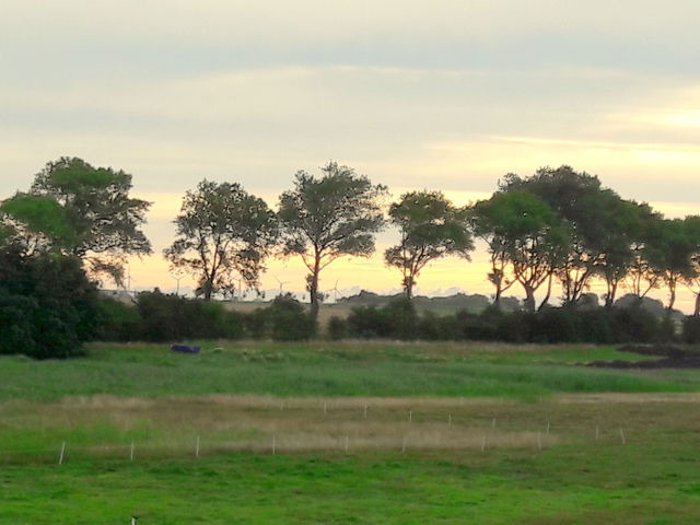 Ferienhaus in Fehmarn OT Fehmarnsund - Ferienhaus Brückenblick 12 A - direkt am Meer - Bild 16