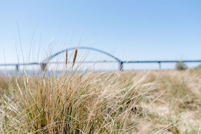 Ferienhaus in Fehmarn OT Fehmarnsund - Ferienhaus Brückenblick 12 A - direkt am Meer - Bild 20