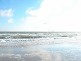 Ferienwohnung in Haffkrug - Strandl&auml;ufer - Bild 6