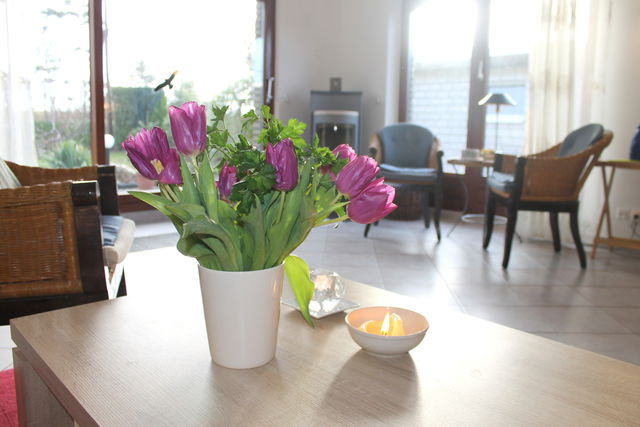 Bungalow in Lensterstrand - "Bungalow Mosner" - Bild 10