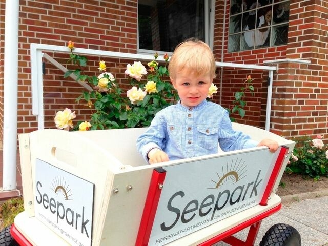 Ferienwohnung in Gr&ouml;mitz - Seepark - Steuerbord - Bild 18