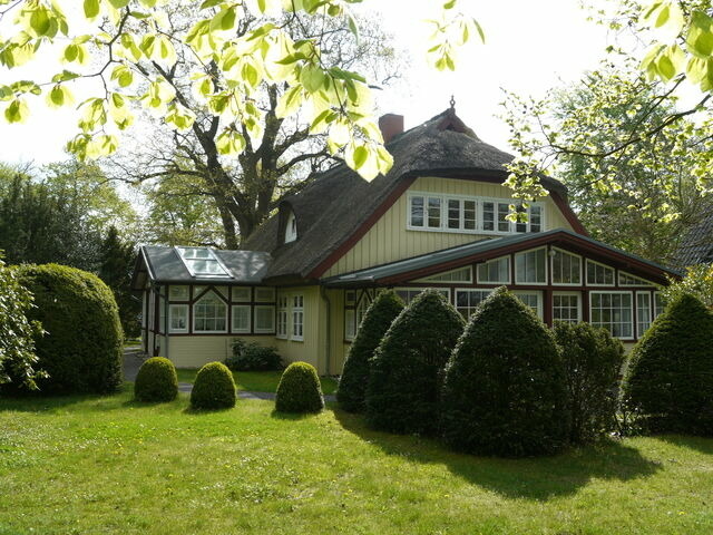 Ferienwohnung in Prerow - Eichenpark 5.1 - Bild 6
