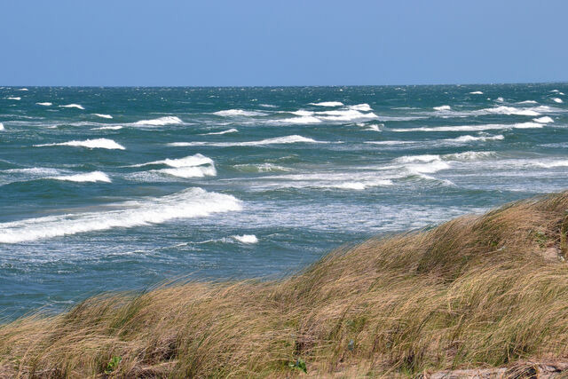 Ferienwohnung in Dierhagen - -"Ferienwohnung Dierhagen" Whg. 2 im OG- - Bild 21