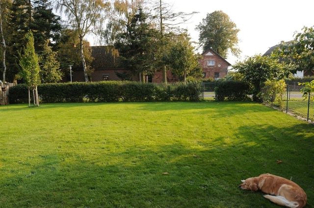 Ferienhaus in Dierhagen - "Katenblick" (Doppelhaush&auml;lfte) - Bild 5