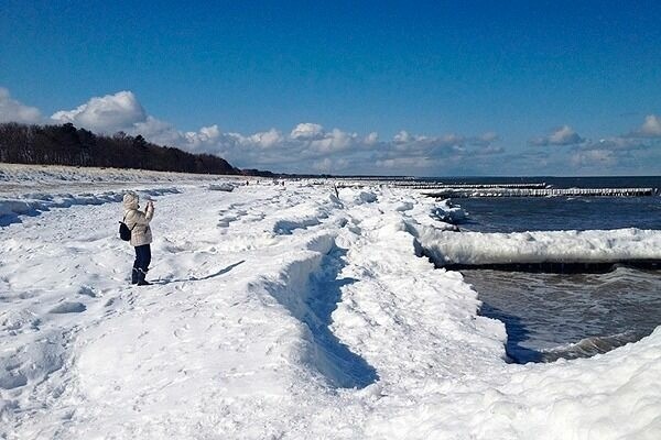 Ferienwohnung in Ostseeheilbad Zingst - Villa Sola Bona, FW 2 - Bild 13
