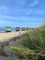 Ferienwohnung in Ostseeheilbad Zingst - Villa "Meereslust", Whg. 2 - Bild 15