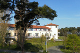 Ferienwohnung in Ostseeheilbad Zingst - Ostsee-Residenz / Whg. 12 - Bild 1