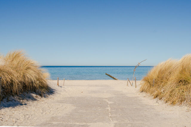 Ferienwohnung in Ostseeheilbad Zingst - Ostsee-Residenz / Whg. 12 - Bild 13