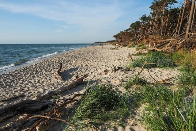 Ferienwohnung in Zingst - Haus Claudia - Bild 15