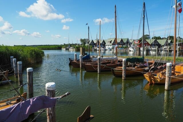 Ferienwohnung in Zingst - Haus Claudia - Bild 18