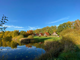 Ferienhaus in Marlow - Finnhäuser am Vogelpark - Haus Hanni - Bild 17