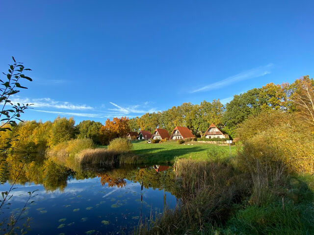 Ferienhaus in Marlow - Finnhäuser am Vogelpark - Haus Hanni - Bild 17