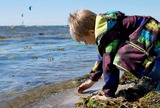 Ferienwohnung in Fehmarn - Knusthof Lafrenz - Sundblick - Bild 10