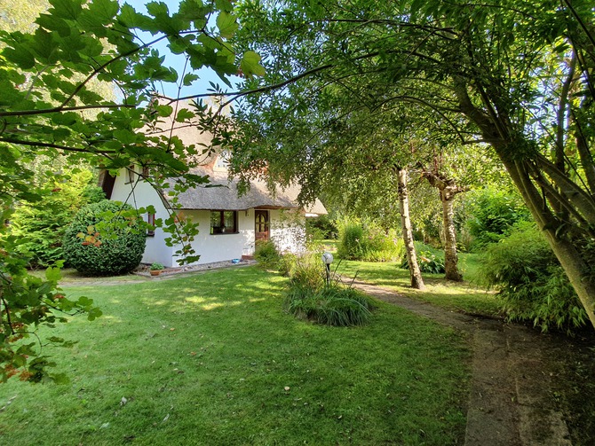 Ferienhaus in Dierhagen - Ferienhaus Kaminsky - Bild 3
