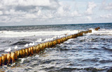 Ferienhaus in Zingst - Haus Seegurke - Bild 16