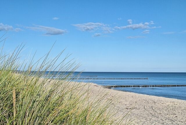 Ferienwohnung in Ostseeheilbad Zingst - Ostseeresidenz - Whg. 24 - Bild 15