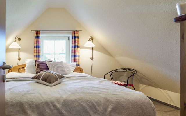 Ferienhaus in Zingst - Deichweg 8 - Bild 16