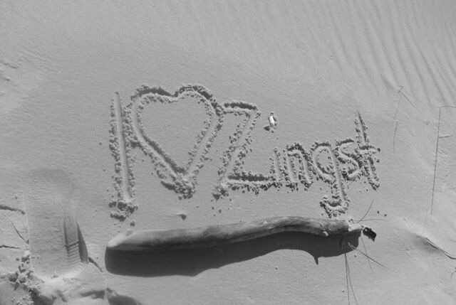 Ferienwohnung in Ostseeheilbad Zingst - Whg. 01 - Koje M - Bild 22