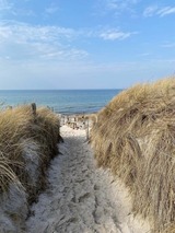 Ferienwohnung in Ostseeheilbad Zingst - Whg. 01 - Koje M - Bild 23