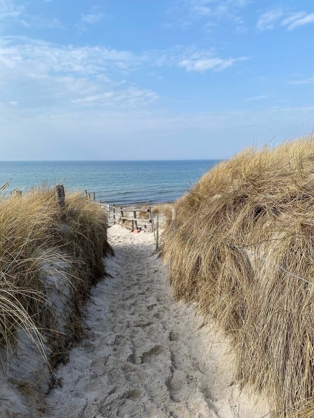 Ferienwohnung in Ostseeheilbad Zingst - Whg. 01 - Koje M - Bild 23