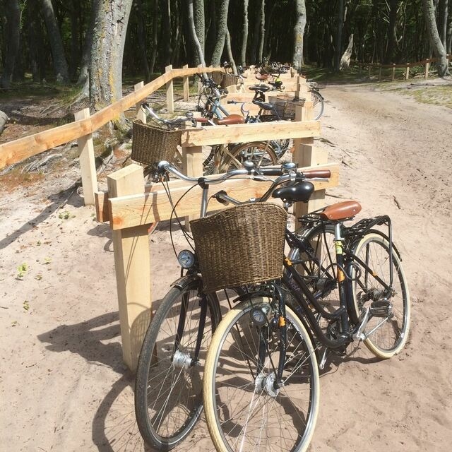 Ferienwohnung in Ostseeheilbad Zingst - Whg. 01 - Koje M - Bild 25