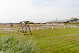 Ferienhaus in Fehmarn OT Staberdorf - Reethaus 4A - Bild 22